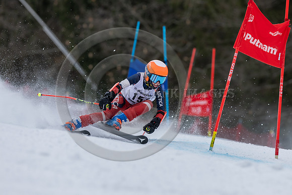 _M3A3937