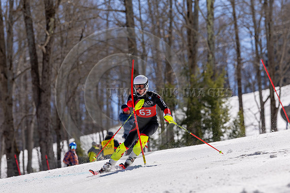 _M3A7331