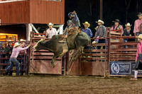 2025 Rodeo