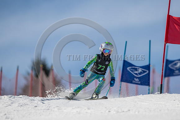 _A9I8795