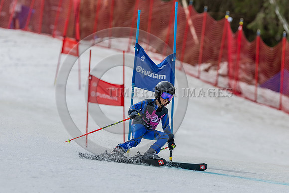 _M3A4262